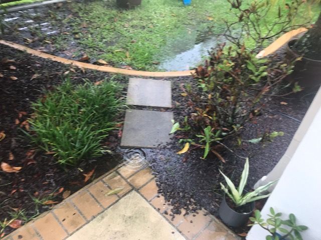 IMG_7130.jpg IMG_7130.jpg