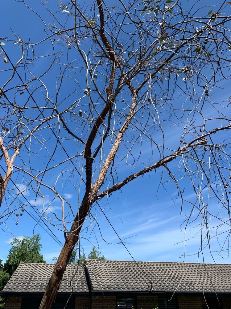 IMG_4327.JPG IMG_4327.JPG