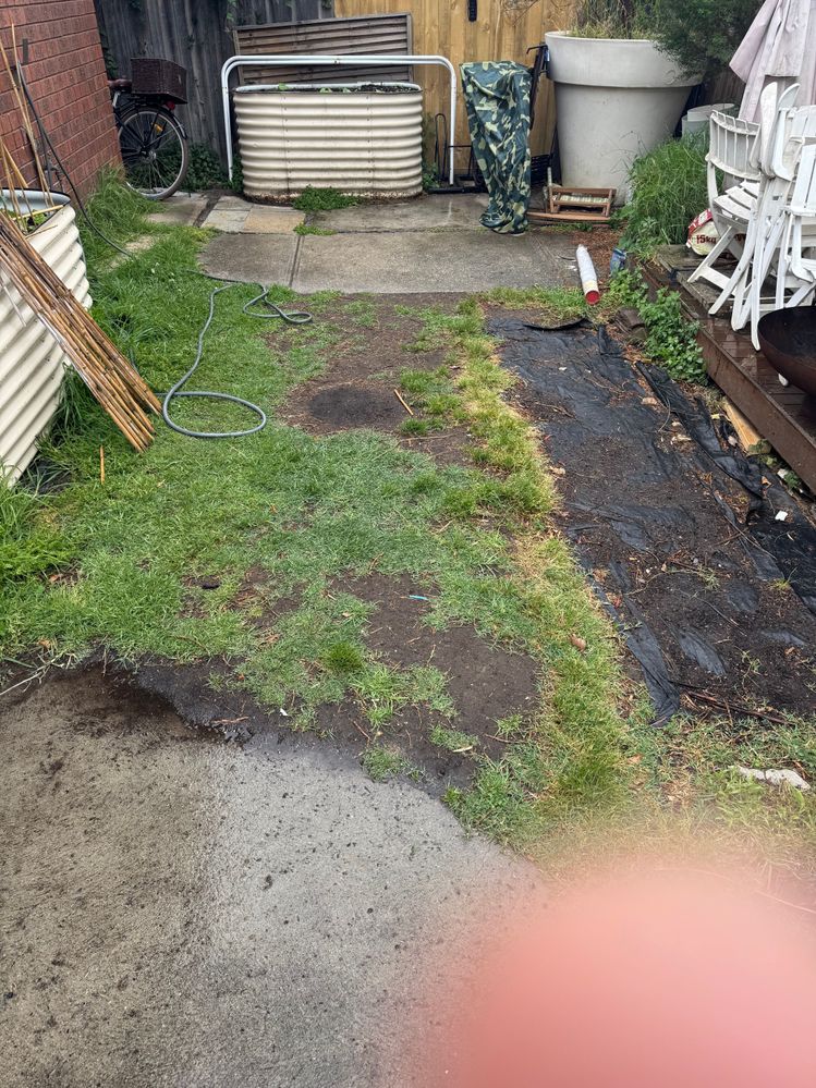 IMG_6068.jpg IMG_6068.jpg