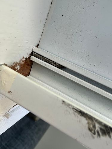 IMG_1244.jpeg IMG_1244.jpeg