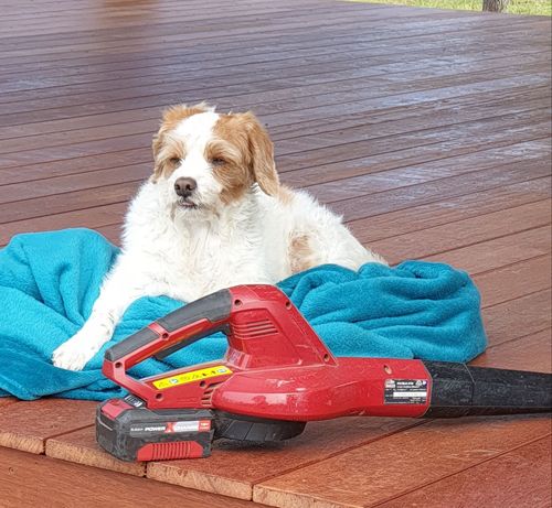 20220603_061154.jpg 20220603_061154.jpg