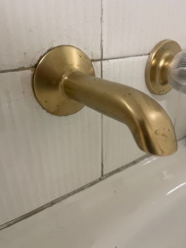 IMG_7842.jpeg IMG_7842.jpeg