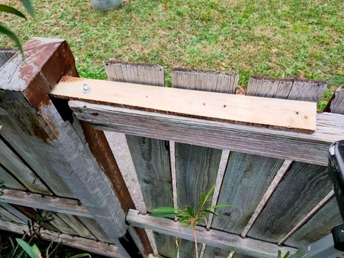 IMG20230329183103.jpg IMG20230329183103.jpg