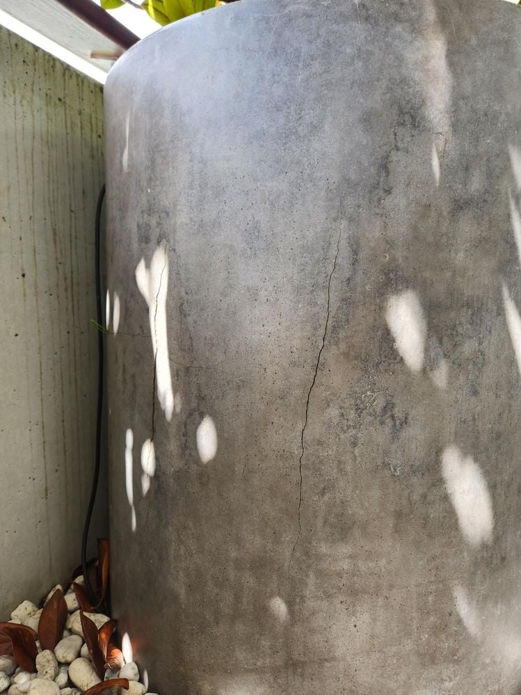 20250119_111355.jpg 20250119_111355.jpg