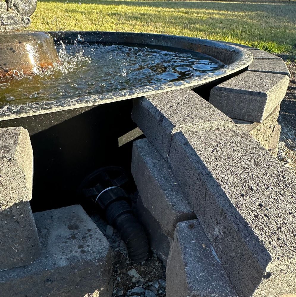 IMG_0255.jpeg IMG_0255.jpeg