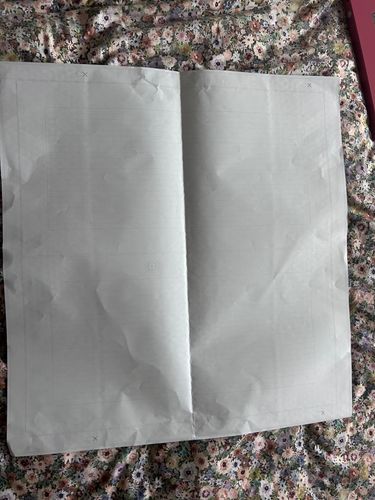 IMG_4480.jpeg IMG_4480.jpeg