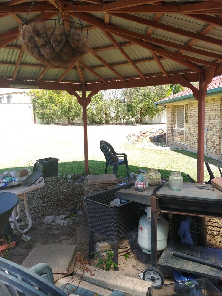 20230921_102338.jpg 20230921_102338.jpg