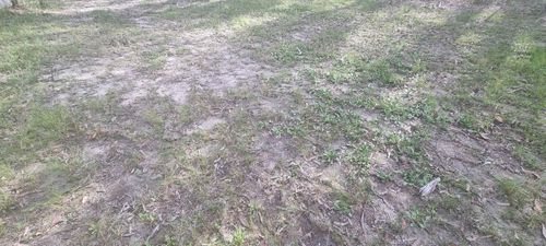 1000169730.jpg 1000169730.jpg