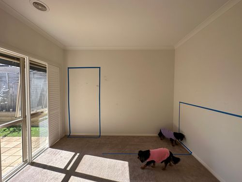 IMG_3125.jpeg IMG_3125.jpeg