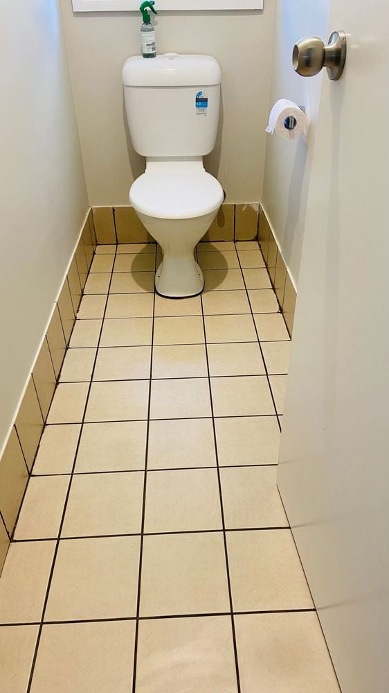 IMG_8281.jpeg IMG_8281.jpeg