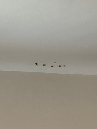 IMG_4685.jpeg IMG_4685.jpeg