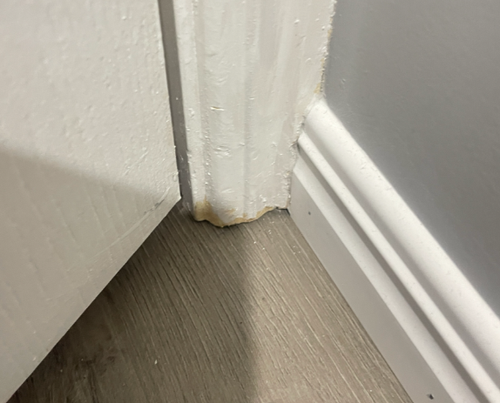 Sugar_7-1748223977048.png Sugar_7-1748223977048.png