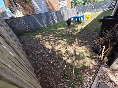 1000023167.jpg 1000023167.jpg