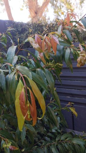 16983783166573903027550301315893.jpg 16983783166573903027550301315893.jpg