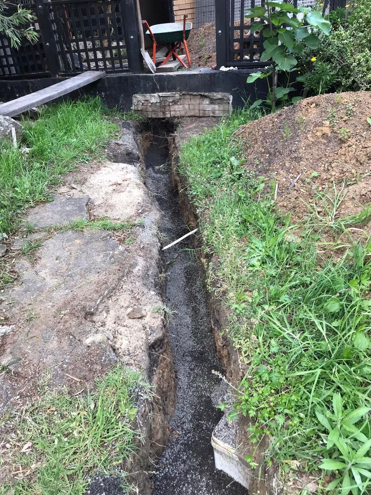 43 16-11-2021.jpg 43 16-11-2021.jpg