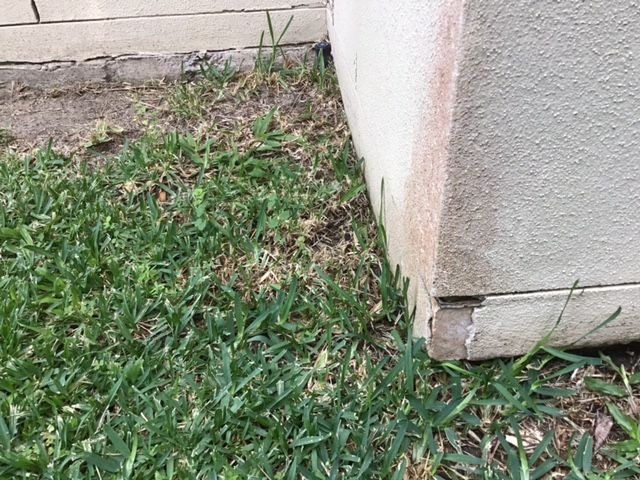 IMG_5945.jpg IMG_5945.jpg