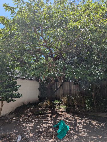 1000001957.jpg 1000001957.jpg