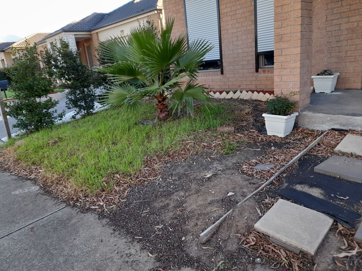 front yard -2.jpg front yard -2.jpg