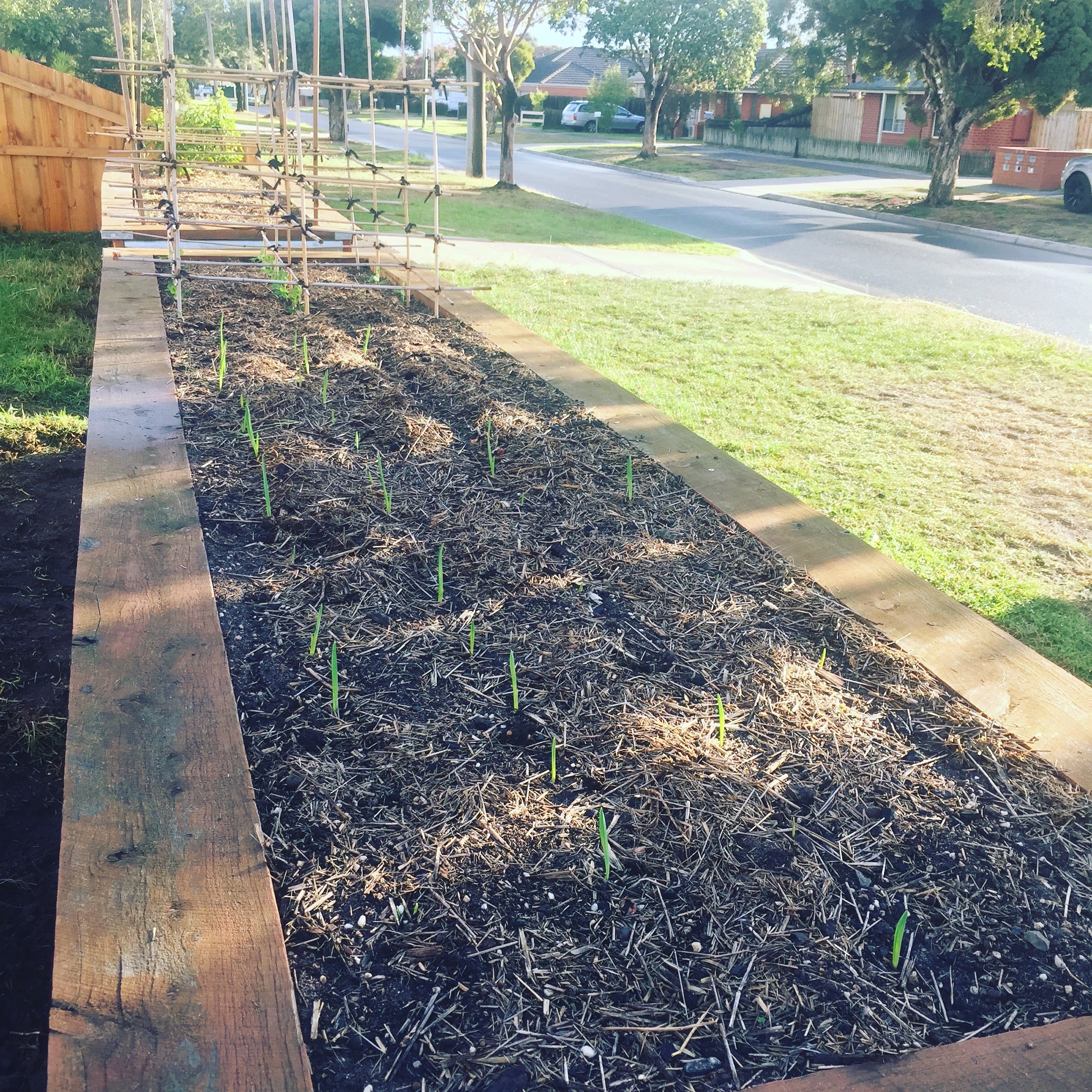 IMG_7771.jpg IMG_7771.jpg