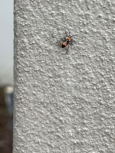 unnamed (2).jpg unnamed (2).jpg