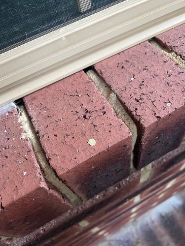 IMG_5153.jpeg IMG_5153.jpeg