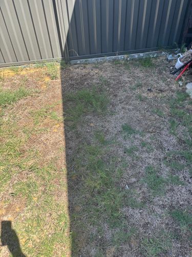 IMG_6513.jpeg IMG_6513.jpeg