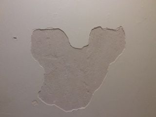 IMG_1974.JPG IMG_1974.JPG