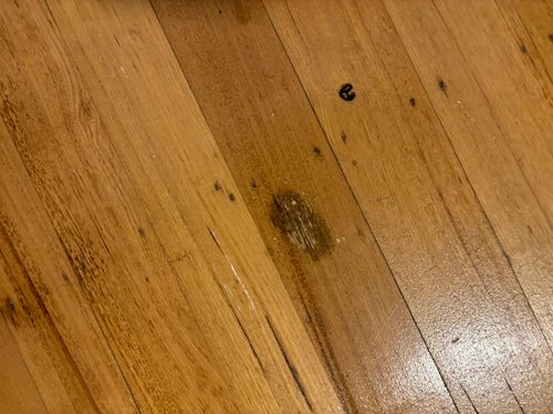 IMG_4952.jpeg IMG_4952.jpeg