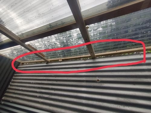 IMG_20251005_131554.jpg IMG_20251005_131554.jpg