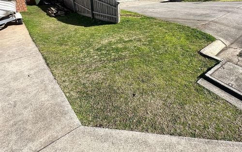 IMG_2440.jpeg IMG_2440.jpeg