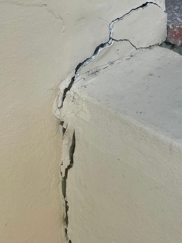 IMG_6541.jpeg IMG_6541.jpeg