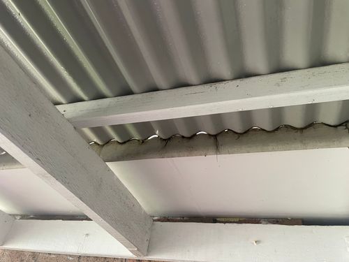 IMG_1639.jpeg IMG_1639.jpeg