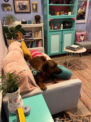 B4E87559-0B19-4667-B1DE-B76021B1B815.jpeg B4E87559-0B19-4667-B1DE-B76021B1B815.jpeg