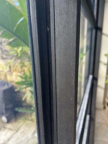 IMG_4213.jpeg IMG_4213.jpeg