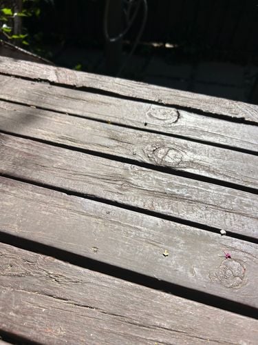 IMG_4241.jpeg IMG_4241.jpeg