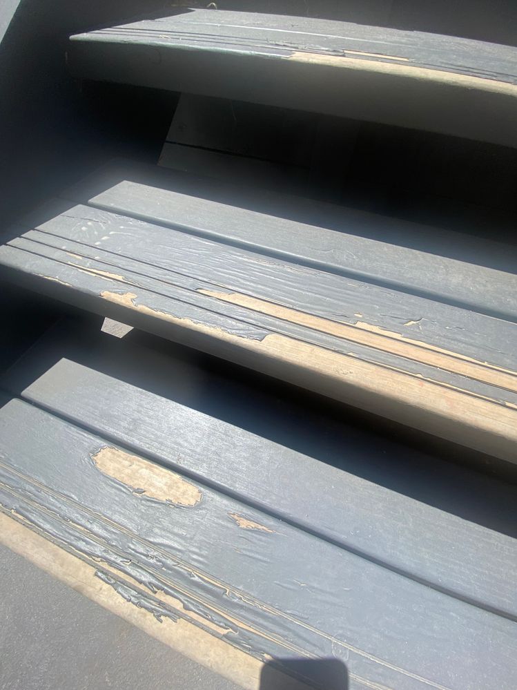 IMG_5059.jpg IMG_5059.jpg