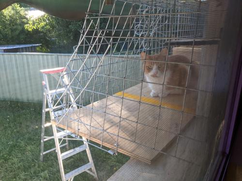 PXL_20230311_065431105.jpg PXL_20230311_065431105.jpg