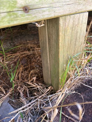 IMG_0357.jpeg IMG_0357.jpeg