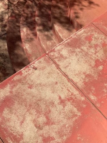 IMG_1023.jpeg IMG_1023.jpeg