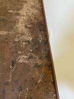 floor2.jpg floor2.jpg