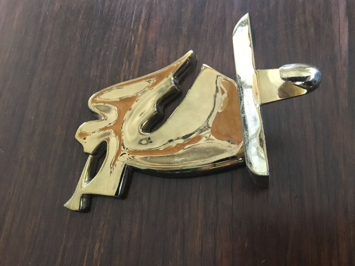 IMG_2028.jpeg IMG_2028.jpeg