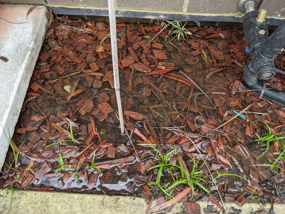 PXL_20211001_013818369.MP.jpg PXL_20211001_013818369.MP.jpg