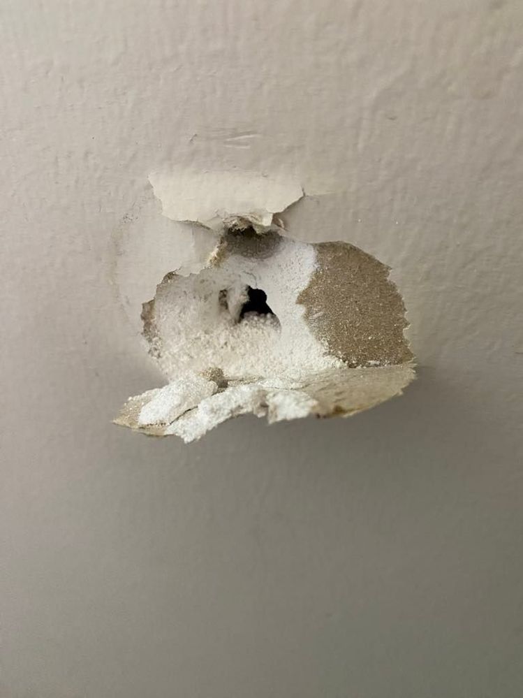 d771384d-861c-4017-97d8-38020df5057c.jfif d771384d-861c-4017-97d8-38020df5057c.jfif