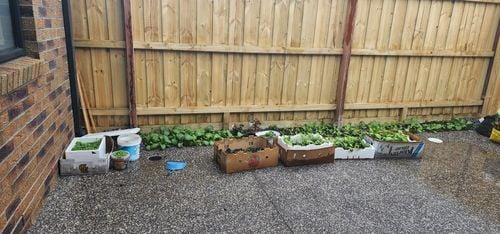 anuppandey115_1-1693353385409.jpeg anuppandey115_1-1693353385409.jpeg