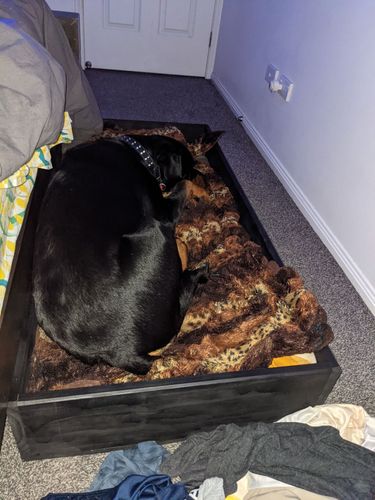 279489044_518003283297042_6383559440780886084_n.jpg 279489044_518003283297042_6383559440780886084_n.jpg