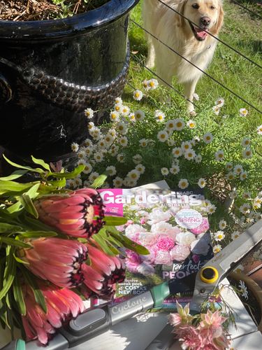 3EA6DDFC-F9F0-4C9F-819B-025C5E15196C.jpeg 3EA6DDFC-F9F0-4C9F-819B-025C5E15196C.jpeg