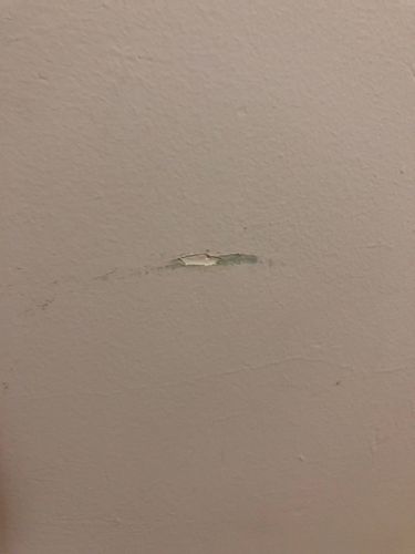 IMG_1987.JPG IMG_1987.JPG