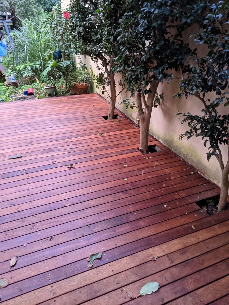 PXL_20210708_064820789.MP.jpg PXL_20210708_064820789.MP.jpg