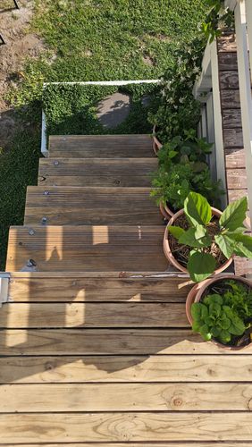 1000064718.jpg 1000064718.jpg