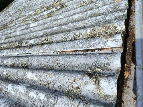 1000012936.jpg 1000012936.jpg